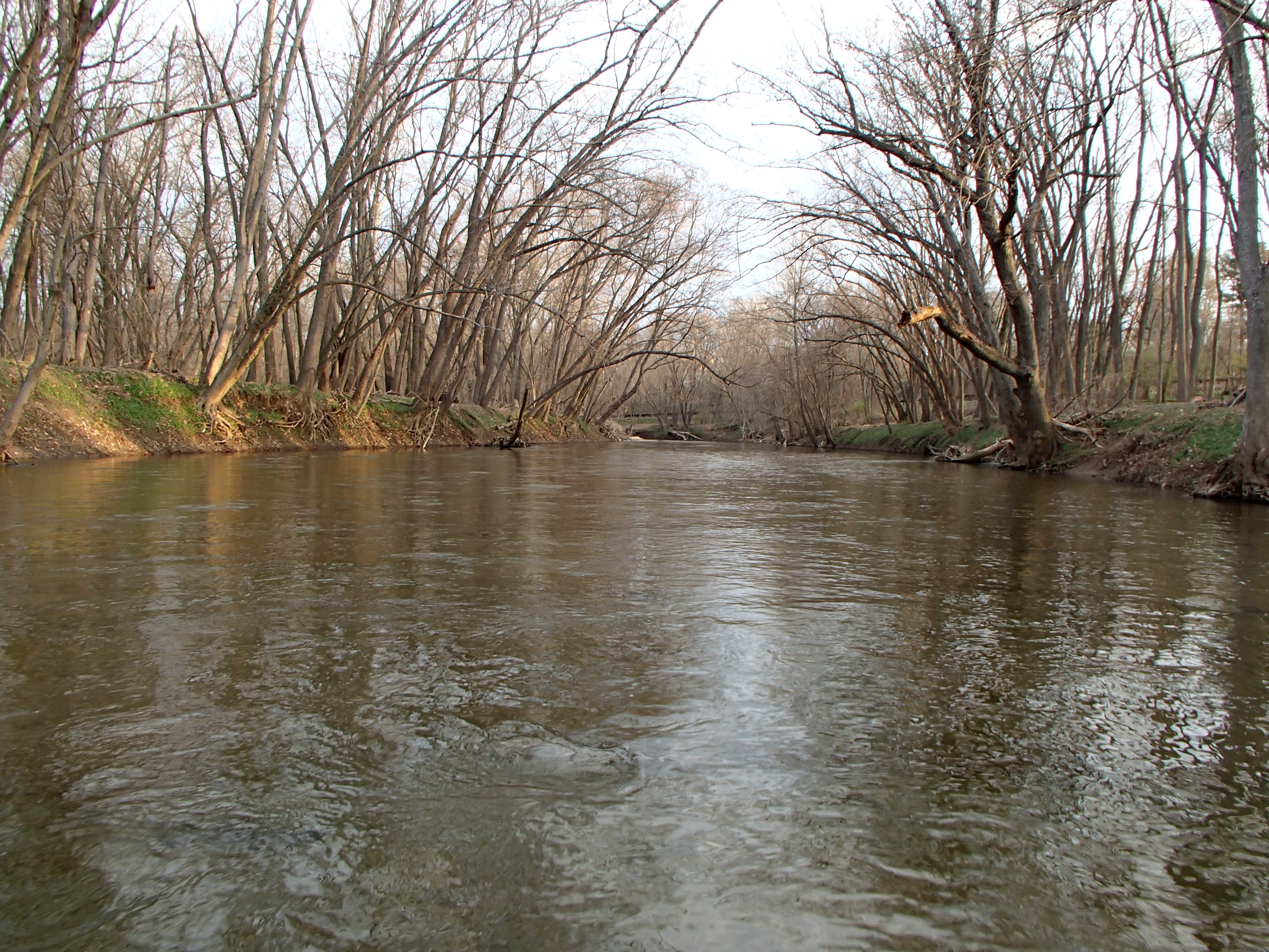 Field photo showing stream conditions at site PATL-B01-X-2016_midpoint looking upstream